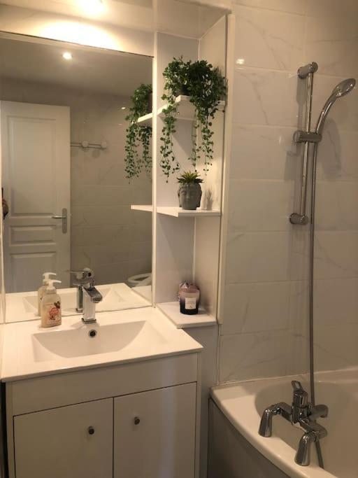 Studio Cosy En Plein Centre-Ville Cannes Ngoại thất bức ảnh